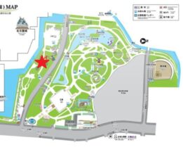 名古屋ワイン会　名城公園花見2026